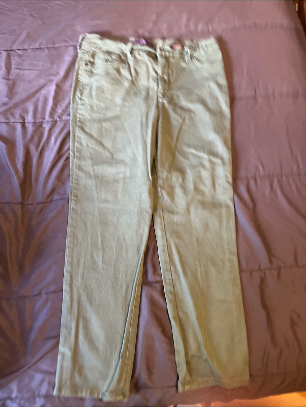 Gloria Vanderbilt Army Green Straight-Leg Pants petite